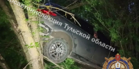 Под Тулой пьяная автоледи врезалась в дерево - ИА Тульская пресса.Ru