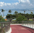 Брат и сестра из России пропали в Паттайе: камеры засняли их с неизвестными мужчинами на трассе - MosRegToday.Ru