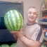 Они из Чимкента. Журналисты прошли с проверкой по бахчевым развалам - Орская хроника