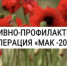 В Геленджике стартовал второй этап операции «Мак-2026» - Отдел МВД России по городу Геленджик