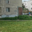 Лысый газон - Новый Компаньон