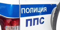 Пьяная жительница Горно-Алтайска избила полицейского в служебной машине - Сетевое издание Толк