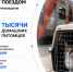 Более 2,5 тысячи животных без хозяев перевезли поезда СКЖД - Газета Краснодарские известия