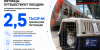 Более 2,5 тысячи животных без хозяев перевезли поезда СКЖД - Газета Краснодарские известия