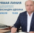 Прямая линия главы Александровского муниципального округа. - Александровский муниципальный округ