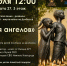 Благочинный Приокского округа принял участие во Всероссийской акции «День памяти детей-жертв войны на Донбассе» - Нижегородская епархия