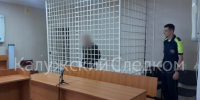 В Боровске арестован обвиняемый в хулиганстве - Следственный комитет