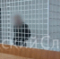 https://max.ru/id4027102335_gos/AZ-ovT2bRqg - Kaluga-Poisk.Ru
