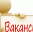 Вакансии. Муниципальное казенное учреждение «Центр вспомогательной деятельности в сфере муниципального управления Васильевского муниципального округа Запорожской области». - Васильевский муниципальный округ