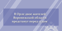 Двое жителей Воронежской области предстанут перед судом по обвинению в покушении на мошенничество - Следственный комитет