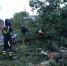 Ростовские городские леса признали опасными после шторма - DonDay.Ru