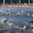 Заплыв на открытой воде Swimcup состоится в Пскове (6+) - Luki.Ru