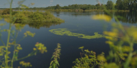 Водоочистные сооружения в Тюмени перевели на усиленный режим работы - ГТРК Регион-Тюмень