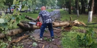 В Обнинске непогода повалила более 20 деревьев - Телерадиокомпания Ника