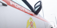 Росгвардейцы задержали мужчину, ударившего своего бывшего однокурсника тарелкой по голове - Spbdnevnik.ru