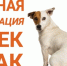 Шахты.SU. Шахтинские известия. - Shakhty.Su