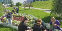 Курские школьники проходят летнюю трудовую практику - Городские Известия