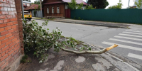 Непогода продолжает ломать деревья: упавшие ветки перегородили тротуар у Всехсвятского кладбища в Туле - ИА Тульская пресса.Ru