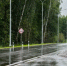 дорога - Правительство Московской области