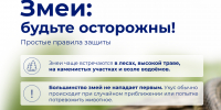 Молодежка предупреждает: лето – сезон активности змей - Технологический университет
