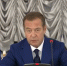 Дмитрий Медведев высказался о "новой волне мобилизации" в России - ГТРК Владивосток