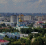 В Омске девять маршрутов пойдут в объезд из-за марафона и Дня города - Пульс Live
