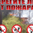На территории Смирныховского муниципального округа введено ограничение пребывания граждан в лесах и въезда в них транспортных средств - Агентство лесного и охотничьего хозяйства