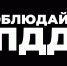ПДД написаны кровью - Республиканская телевизионная сеть