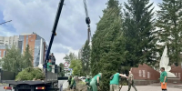 В Новосибирске появится Аллея Памяти героев, погибших при исполнении - Сиб.фм