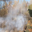 Вологда-поиск - Вологда-поиск