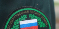 В Томской области подведены итоги работы лесной охраны - Администрация Томской области