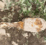 image - GazetaRB.Ru