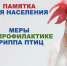 МЕРЫ ПО ПРОФИЛАКТИКЕ ВЫСОКОПАТОГЕННОГО ГРИППА ПТИЦ (ВПГП) - Калтанский городской округ