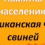 Памятка для населения (Африканская чума свиней) - Калтанский городской округ