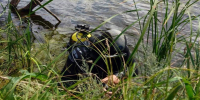 В Кошкинском районе во время купания в водоеме утонул мужчина - Волга Ньюс