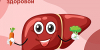 27 июля – 2 августа – Неделя профилактики заболеваний печени - Кушвинский городской округ