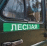 Стало известно, чем обернулись незаконные рубки леса в Томской области - ГТРК Томск