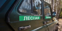 Стало известно, чем обернулись незаконные рубки леса в Томской области - ГТРК Томск