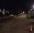 Женщина пострадала в ДТП с собакой в Лукояновском районе - Нижегородская правда