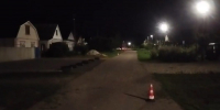 Женщина пострадала в ДТП с собакой в Лукояновском районе - Нижегородская правда