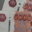 thumb_570861_news_xxxl.jpeg - Primorye24.Ru