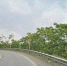 l1ia1hs47a3v80djeh689eyrbfoawk07.jpeg - Primorye24.Ru
