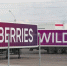 Логистический центр Wildberries в Рязани эвакуирован - M24.Ru