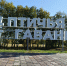 В омской «Птичьей гавани» восстанавливается популяция краснокнижного вида - СуперОмск