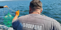 Более 100 браконьерских орудий лова изъяли в лагуне Буссе на Сахалине - SakhalinMedia.Ru
