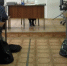 В Петрозаводске примут родителей, недовольных образованием детей - Gubdaily.Ru