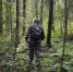 Двух заблудившихся грибников-пенсионеров нашли в лесах Вологодской области - ProGorod35.Ru