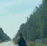 Пьяный мотоциклист без шлема устроил гонку с полицией в Югорске - ИД Новости Югры