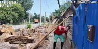 Аварийное дерево оставило астраханцев без газа - Punkt-a.info