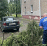 В Обнинске буря повалила более 20 деревьев - Калужский перекрёсток